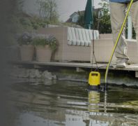 миниатюра статьи