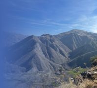 миниатюра статьи